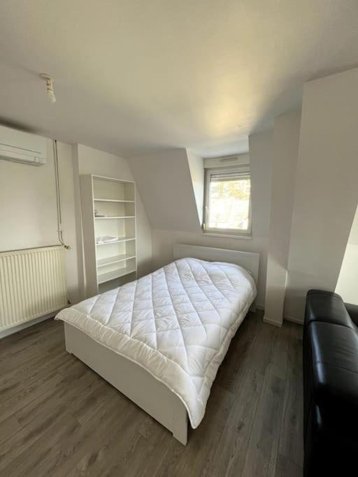 Appartement F5 Maison De Maitre Mülhausen Exterior foto